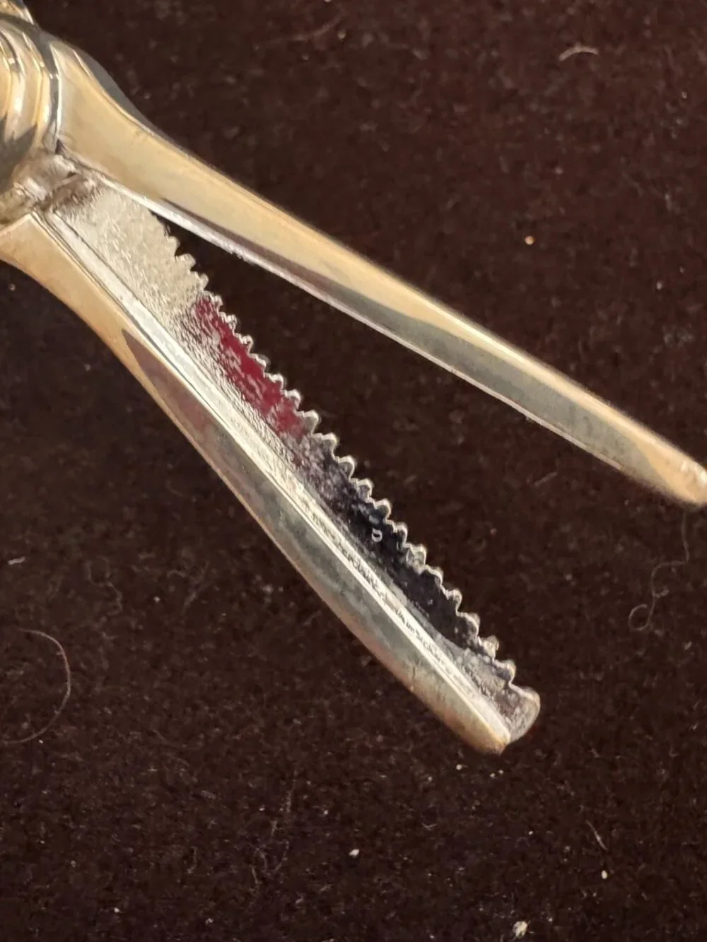 Brand New Vintage Silver Plated Grape Shears / Scissors - Ornate Figural Handle